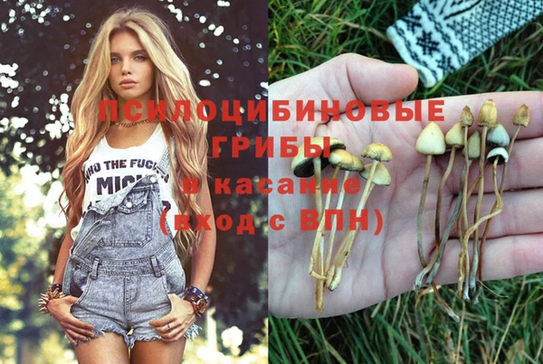 метадон Абинск