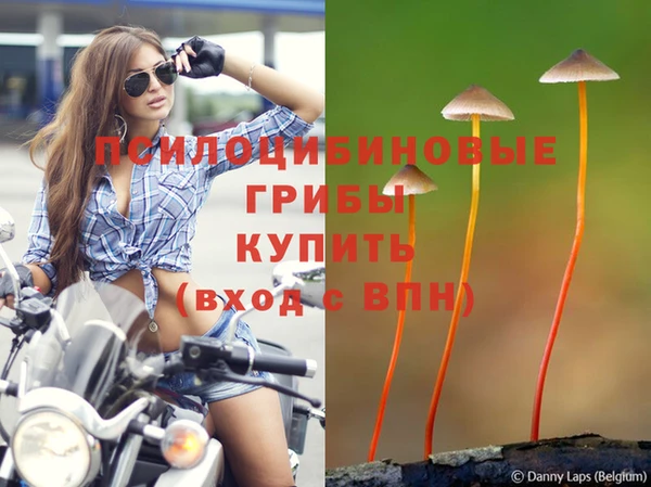 соль курить ск Абаза