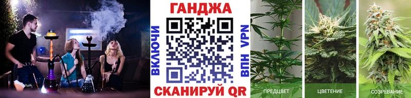 Каннабис White Widow  Новотроицк 